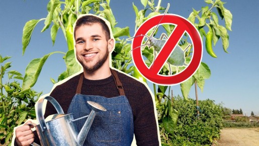 ����������� ����� ���� ��������� � �����: ��� ������ ��� ������, ��� ���