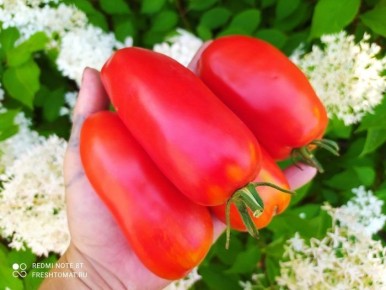 ����� �����-��-�����: ��� ������ ��� ���������� ���������� ������ �� ����� ������?