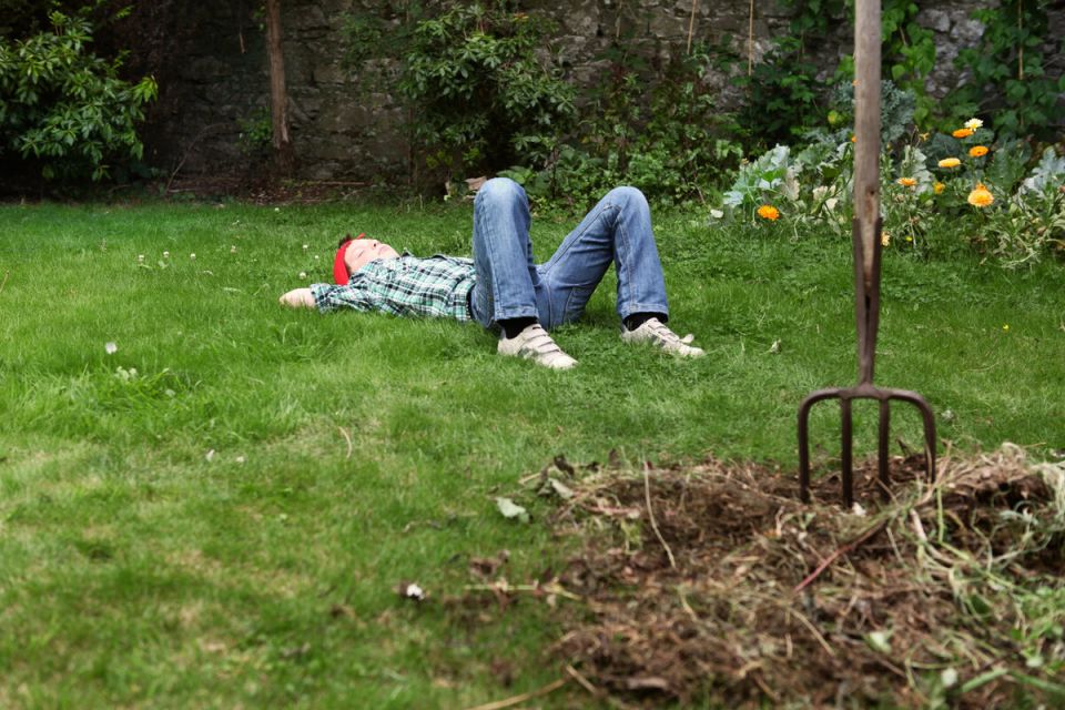 ������ ���� �� ��������: ������� ������� �������