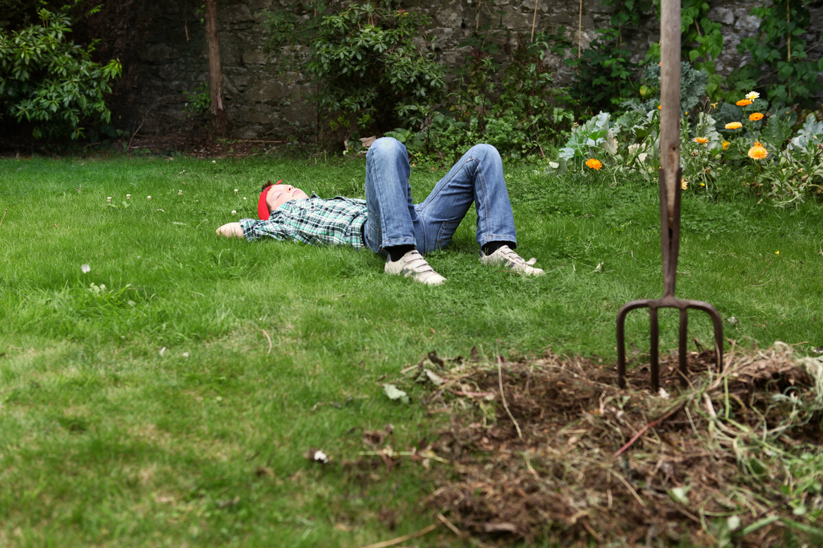 Легкий уход за огородом: секреты дачного ленивца