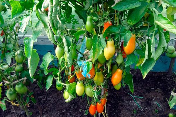 ��������� ������: ��� ����� ����� � ����������� � ������������ �����