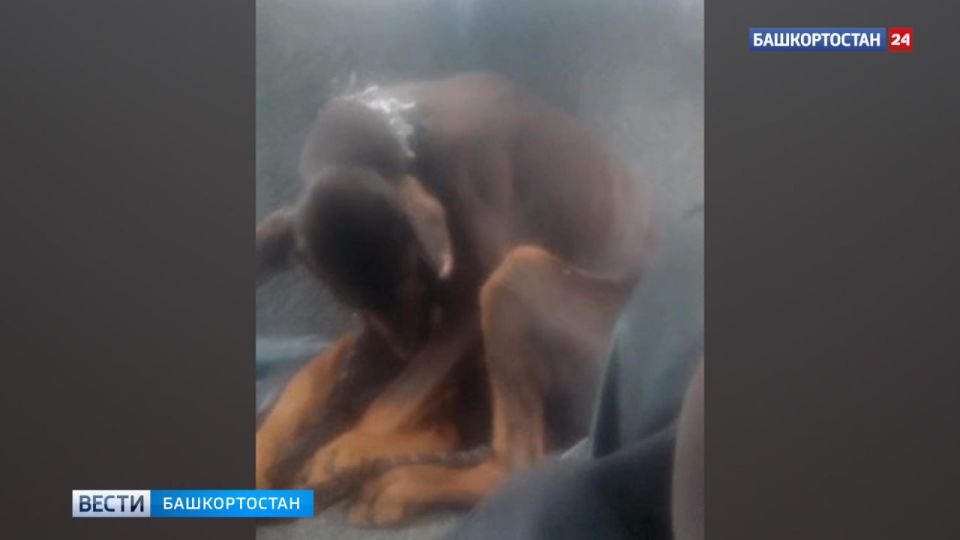 � ��� ����������� ��������� ����������� ��������� � ������ � ������� �� �����