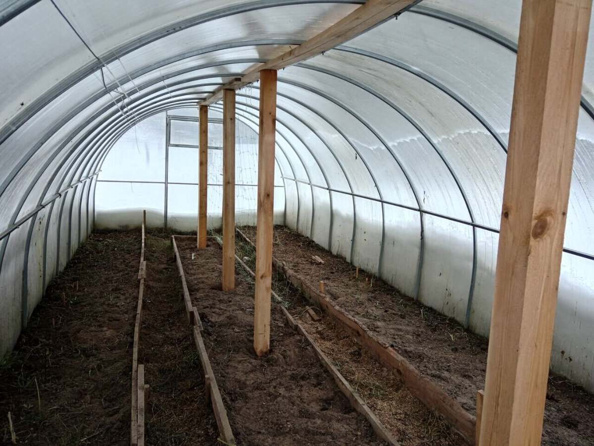 Как избежать ожирения томатов в теплице: секреты удобрений для отличного урожая