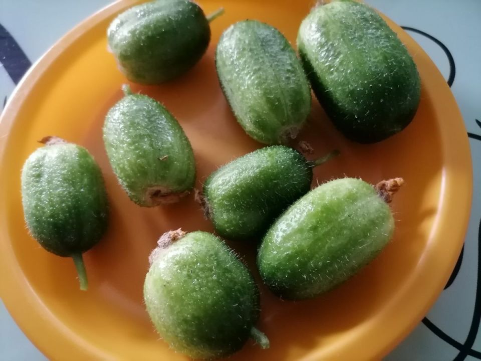 ������ ������� ������: ����������� �������� �� �����