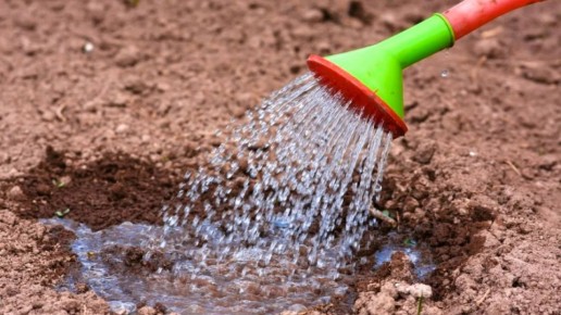 ��� ������� ��������� ������������� �������� ������ �� ����� �������