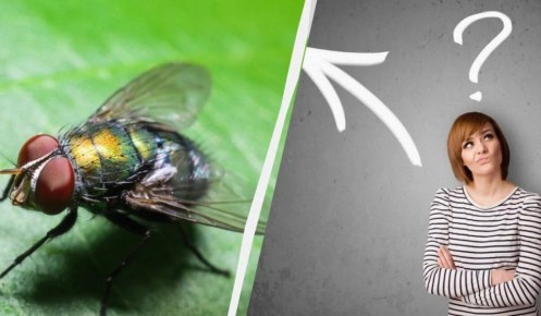 ����������� ������� ������ � ������ �� �����: ��� ����������� ������