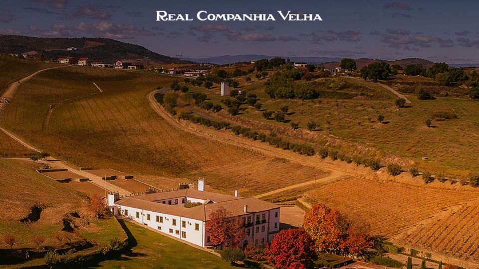 �������� �����: ��� �������� ���� ���������