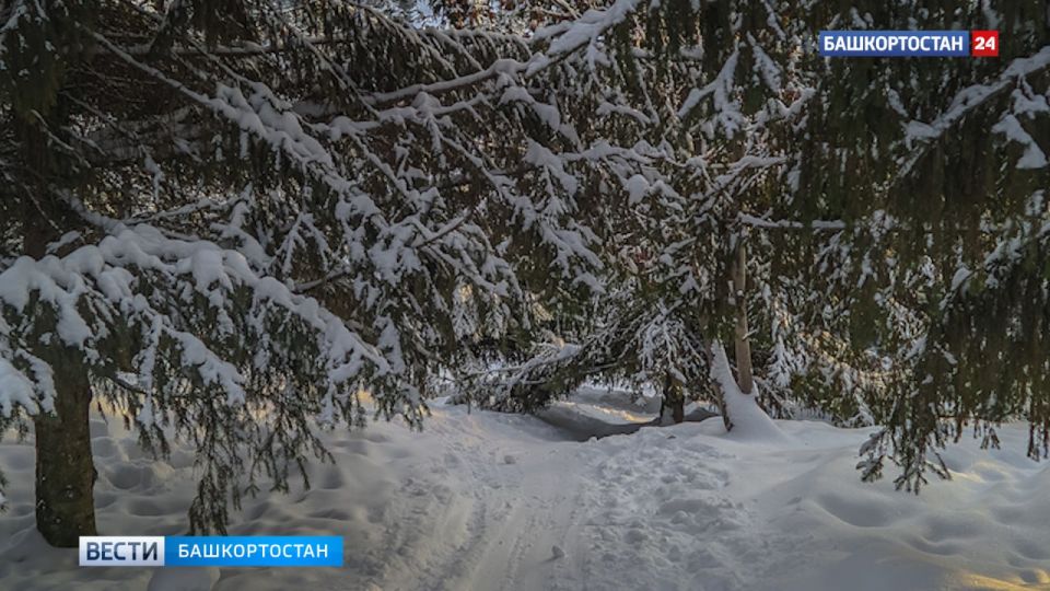 ��������� ���� � -1: ��������� ���������� � ������ � �������� 2 �������