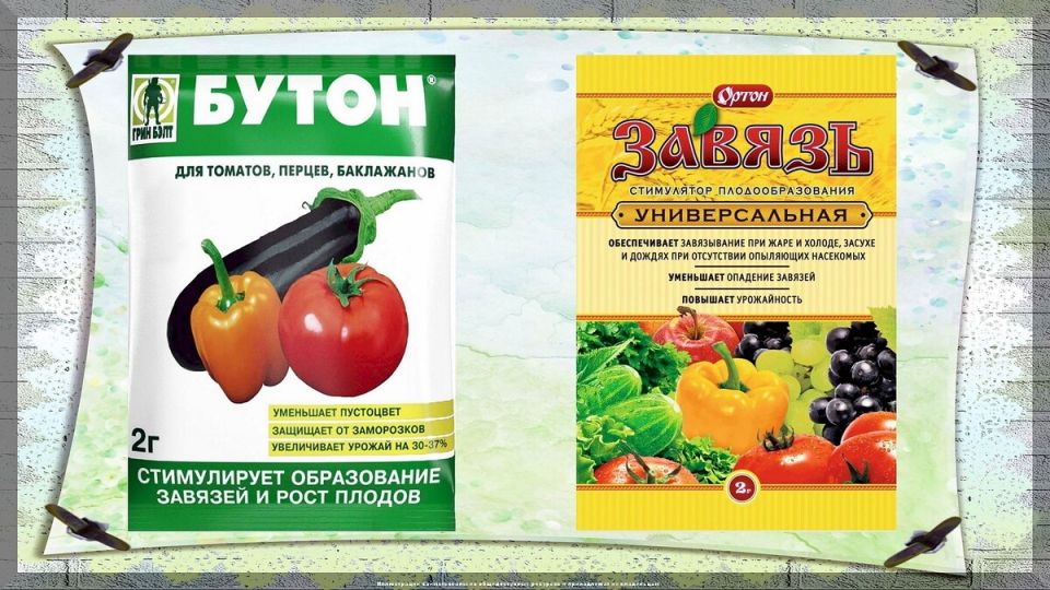 ������� ����������� ����������������: ������ �������� � ������� ����� ��������� ������