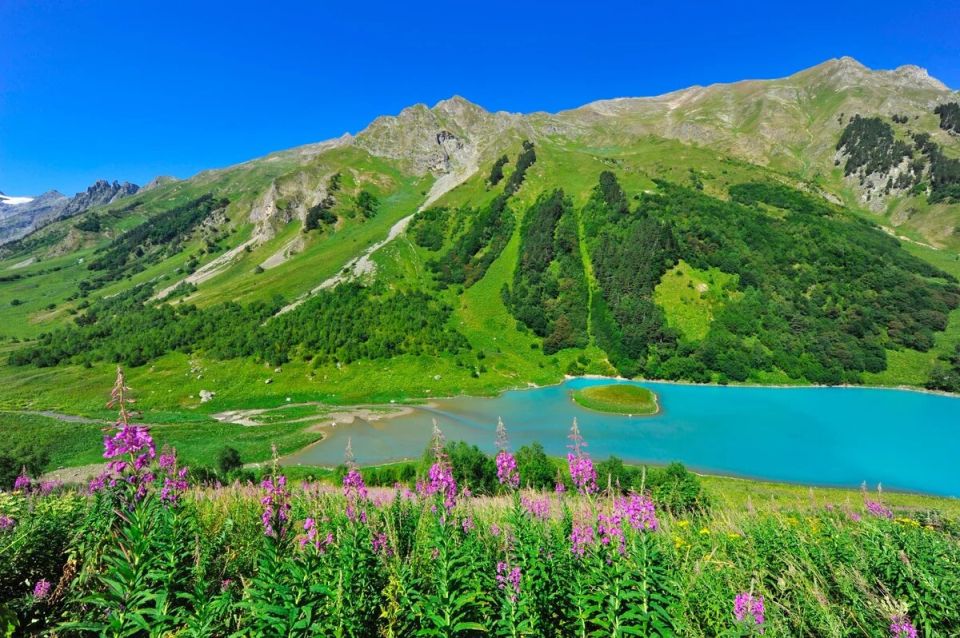 ���������� ��������: ���������� ���������� ������ ����������� �������������������