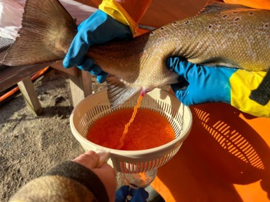 ����������� ������ �������������� ������: ��� ������� ��� ������ ������� ��������� �����������