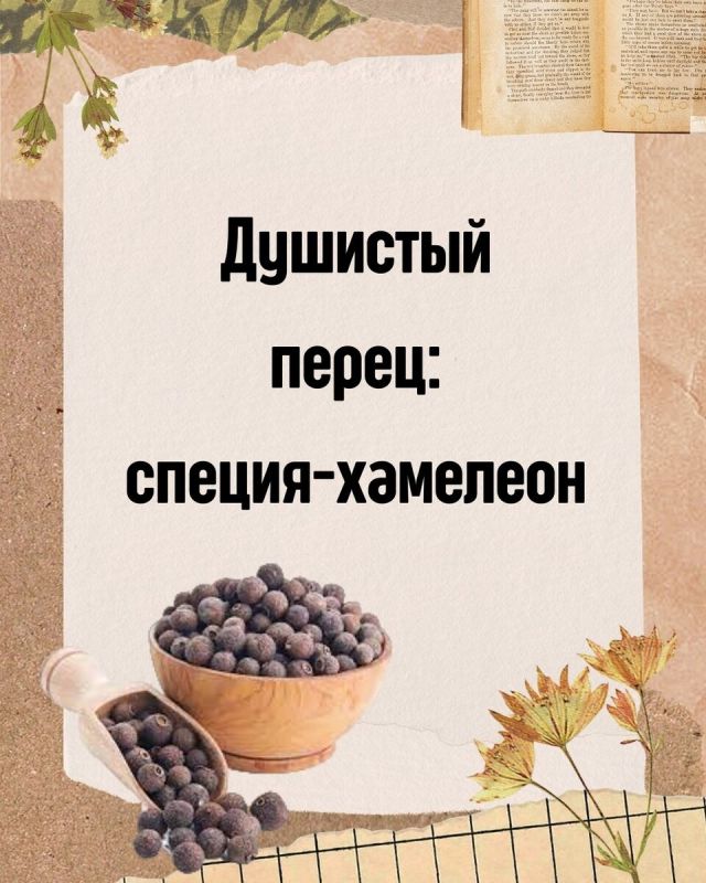 �������� �����: ������, ������� ��������