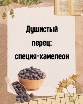 �������� �����: ������, ������� ��������