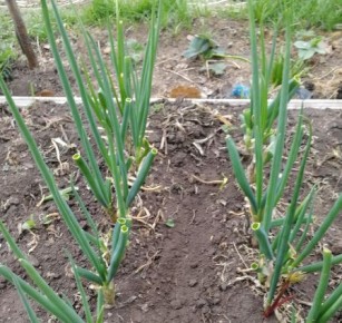 8 ����� ������������ ���� �� ������