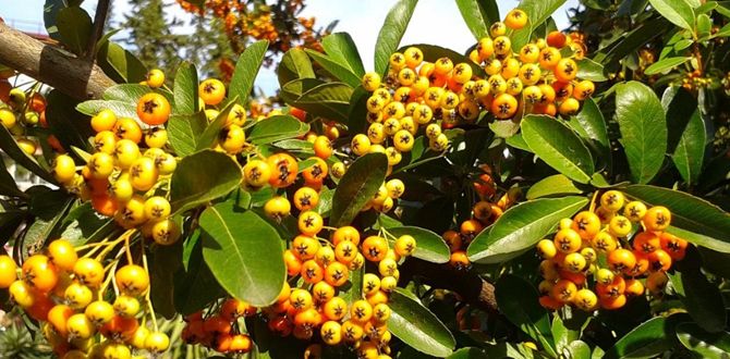 7 �����������, ������� ������ ���� ����� ����������� �������