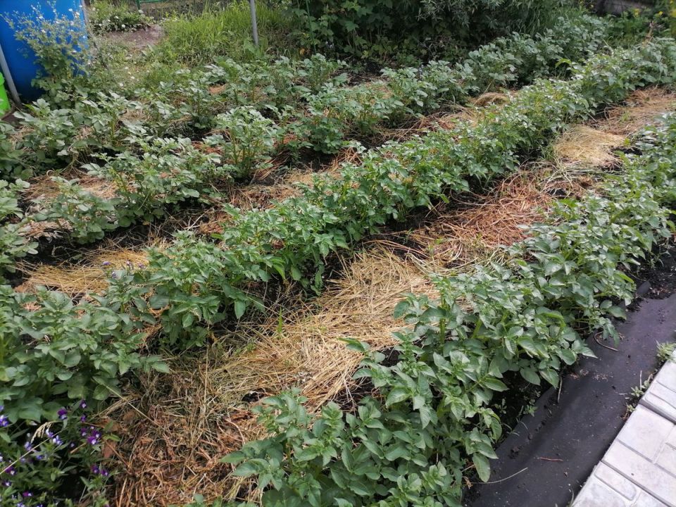 ��� ������ ��������� �� ���������� �� ��������� ���������� � �������� �������� ������