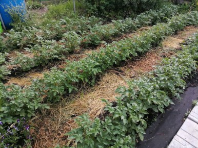 ��� ������ ��������� �� ���������� �� ��������� ���������� � �������� �������� ������