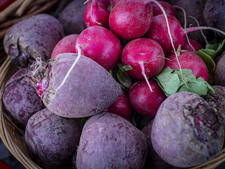 ��� ��������� ������ ������: ������ ��� ��������