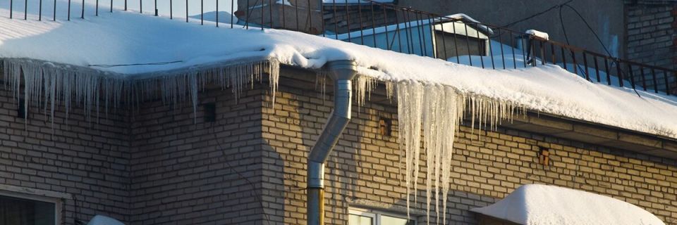 ���� �� �������: ��� ��������� ������� ����� �� ����� � �������?