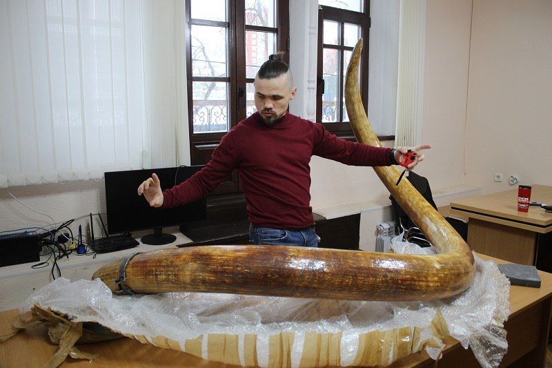 � ����� ��������-���� �������� ����� ����������� �������