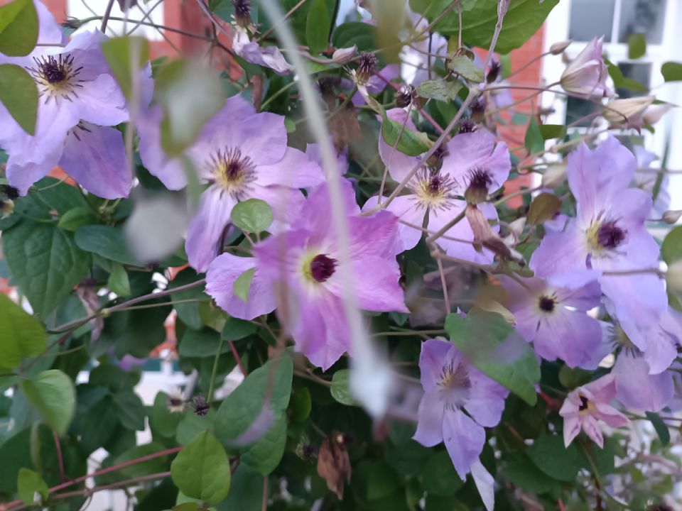 ��� ����������� ��������� � ������ ������� ����� ����������