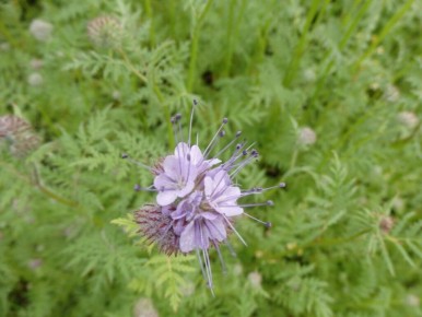 ��� ������� ����������� ��� ������: ������� ��������� �����������