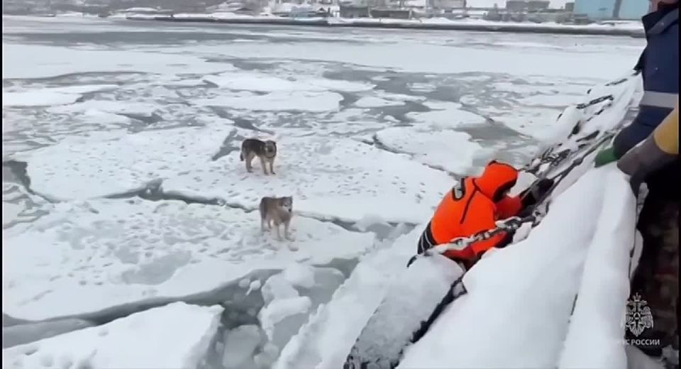 �� �������� ������ �����, ��� ��� ������������ �� ������