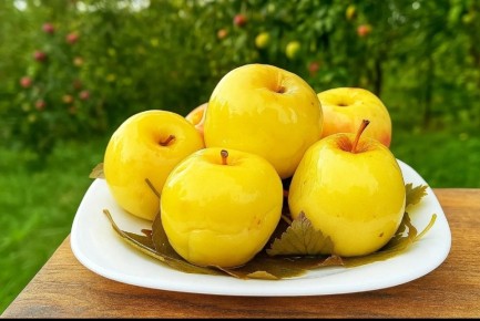 ������� ������������� ������� �����