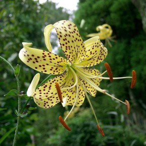 ��� ��������� �����, ����� ��� �������� ����� ���������