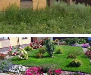 ������������� ������������ ������� � �������� ���