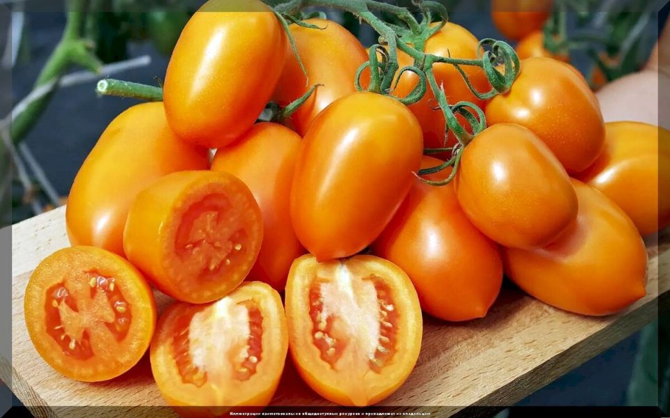 25 ������ ������� ��� ������� � ��������� ������: ������ ������ ��� ��������