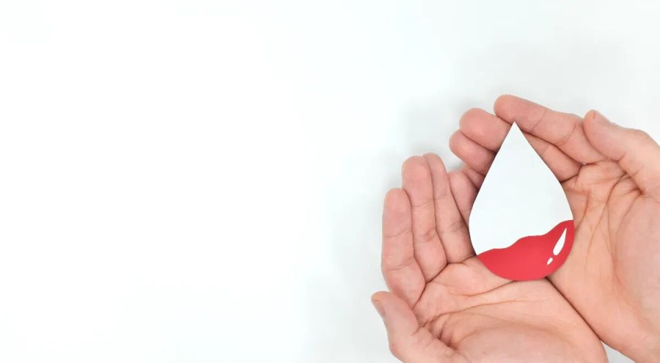 ��������, ������� ����� �������� ��� ������: ������ ����������