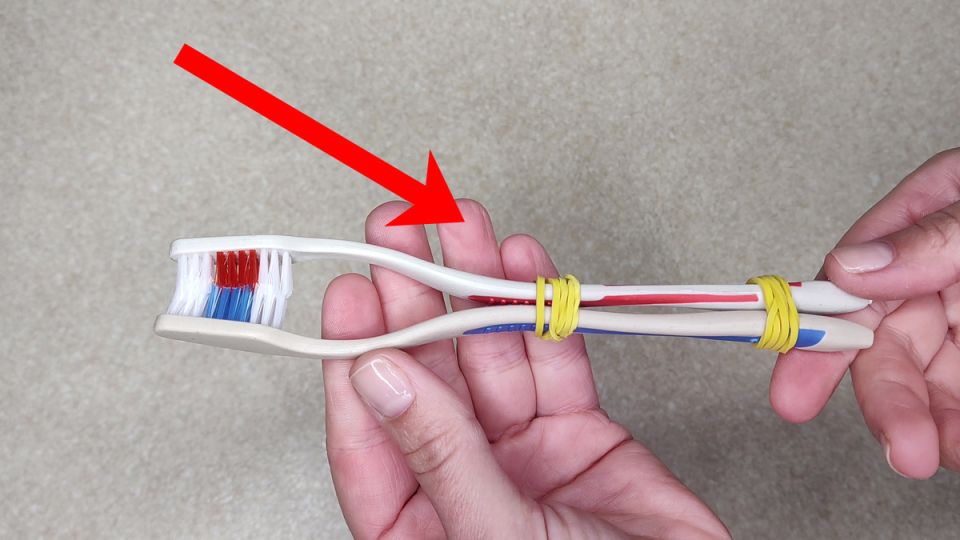 �� ������� ����������� ������ �����: 5 ����������� �������� �� �������������