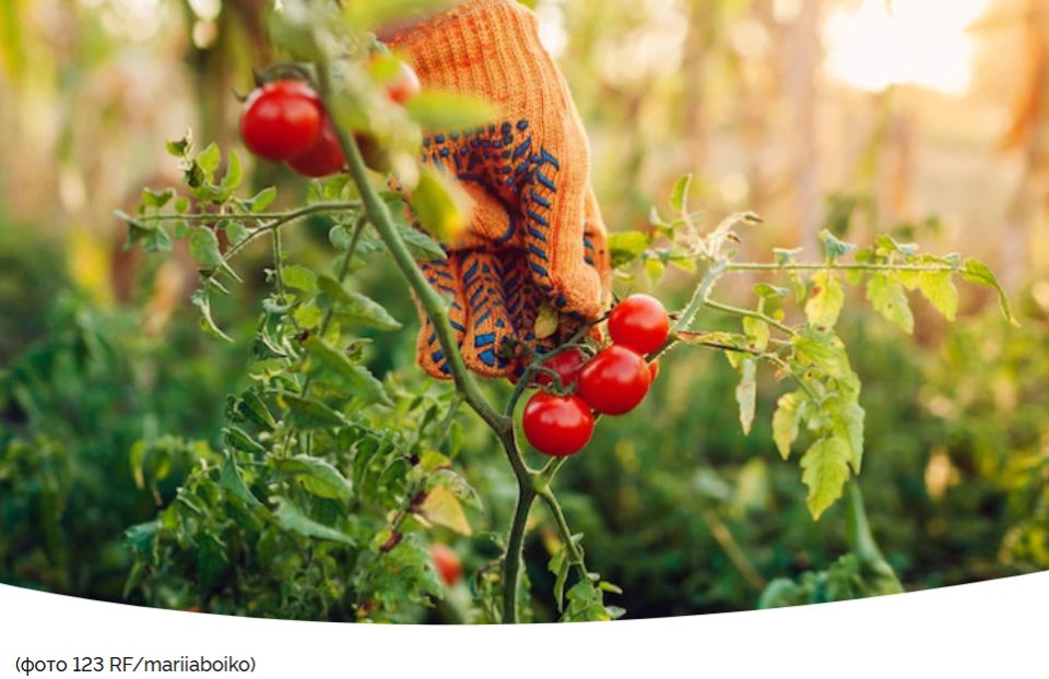 ������� ��������� ������������ �������: ��� �������� �������� ������