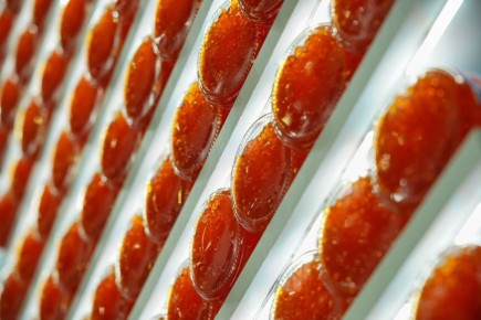 ��� ������� ��������� ������� ���� � �� ��������� �� ������ ����������