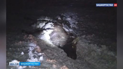 � ������������� ������ ������������� ��� �������� ���������� ����� ����