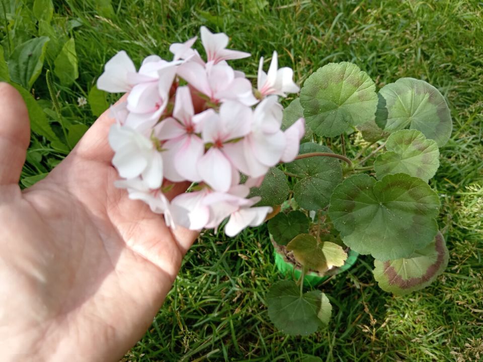 ��� ����� �������� �� ������ ����� ������ ����� 10 ����� �������� ������