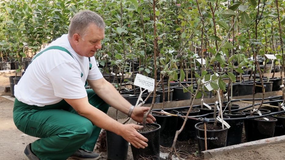 ����� ����, ������� ����� �������: 9 �� 10 ��������� ����������� ��