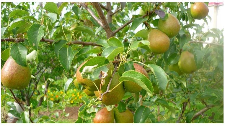 ����������� ������� �����: ��� ��������� ������ �� 30 �� � ������