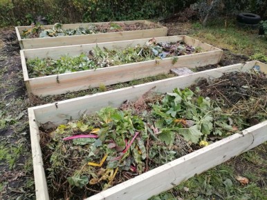 �������� �������� � ���������� ������: ������ � ����