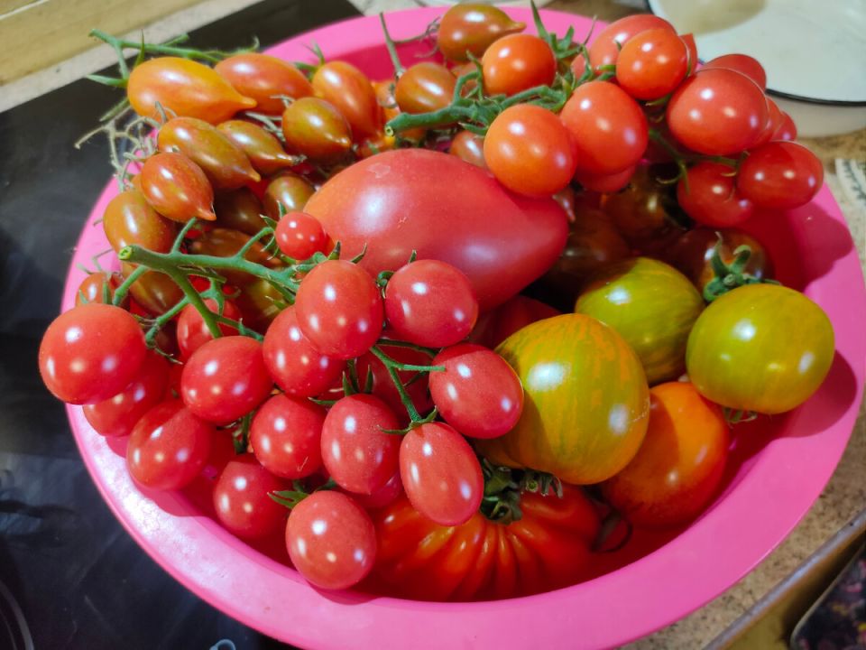 ����� ���������� �����: ��� ������� ������� � ��������� ������