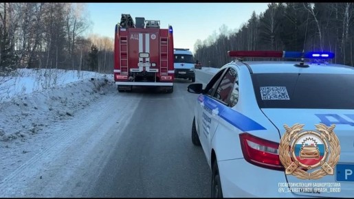 � ���������� ������ ���������������� �������-������������ ������������ � ��������