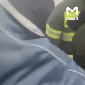 ������ ����, � ������������, ��������������, ���� �������