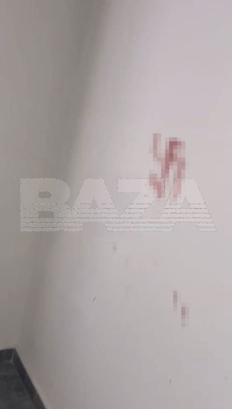 �������� �� ��������� � ��� ��� ����������� ������������� ����������� NS/WP*