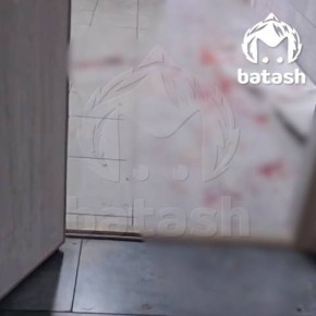 ��� ���������� �� ��������� ��������� � ������� ��������