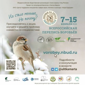 ������ �������� ����� �������������� � ������������� �������� ��������