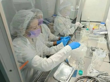 ����� ������� ���������, ��� ������ ��������� � �������� ������ �������� ������ �������������, � ����� ��������� �� � ���� ���������� �����