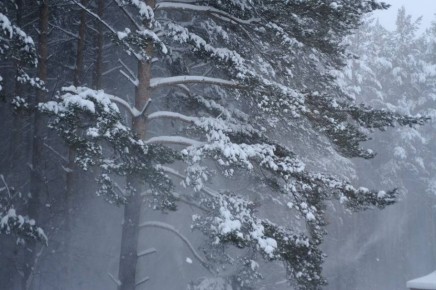 �� ������ ������������, 9 ������� �� ���������� ���������� ��������� �������� ������