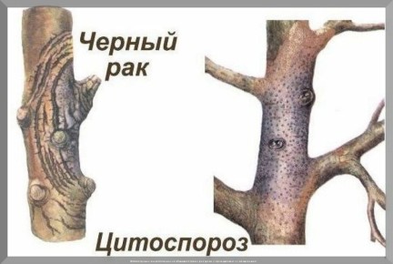 ��� ������ ������� ������� ���������� � ������������� �������� ��������