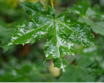 ��� �������� �������� � ������ �������� �� ��������� ��� � ������� ��������